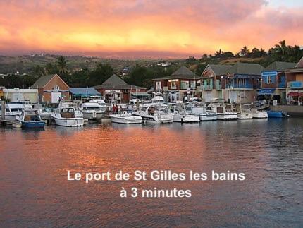Prana Lodge Saint Gilles Les Bains 800 M De La Plage ภายนอก รูปภาพ